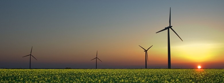 Why Do We Need Renewable Energy?